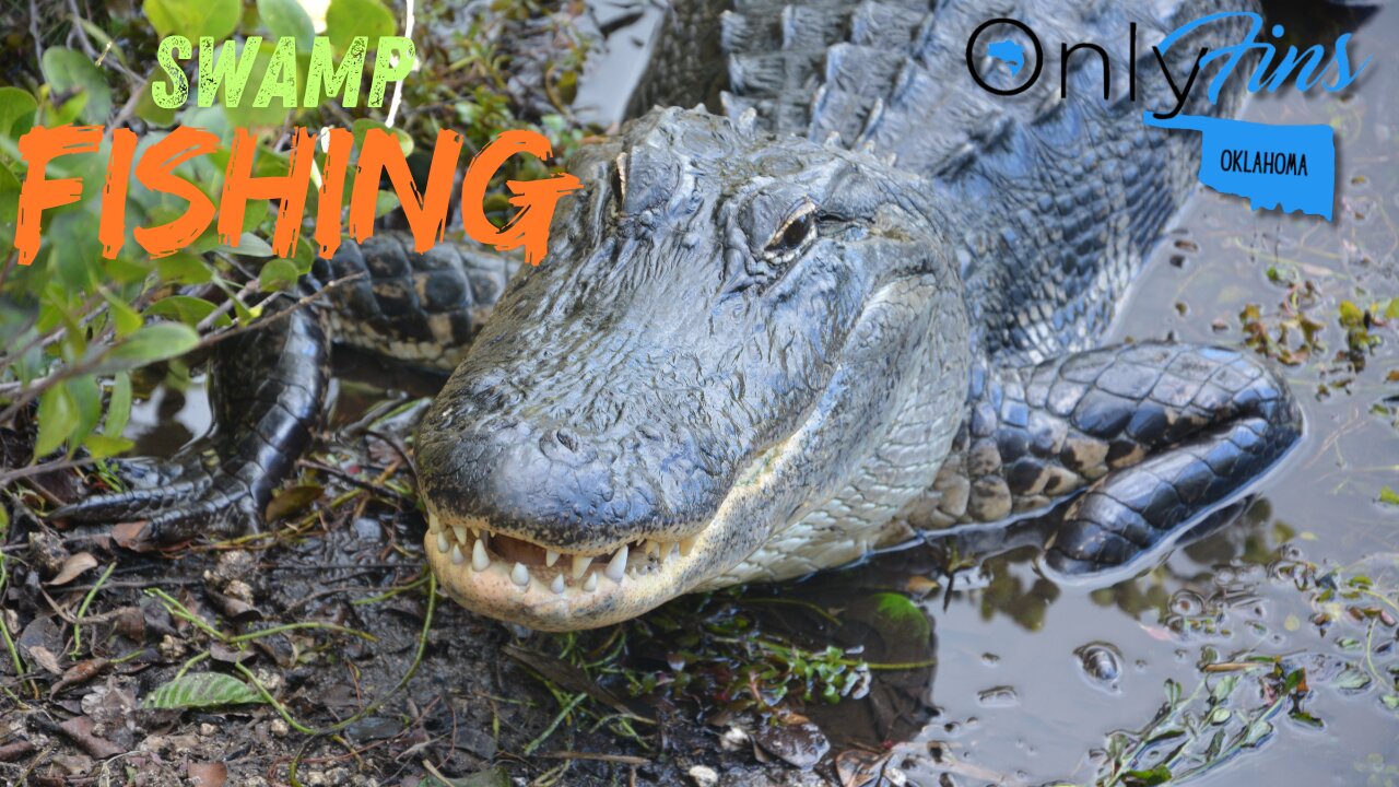 Louisiana Bass Fishing Swamp Adventure On The Way Back From New Orleans