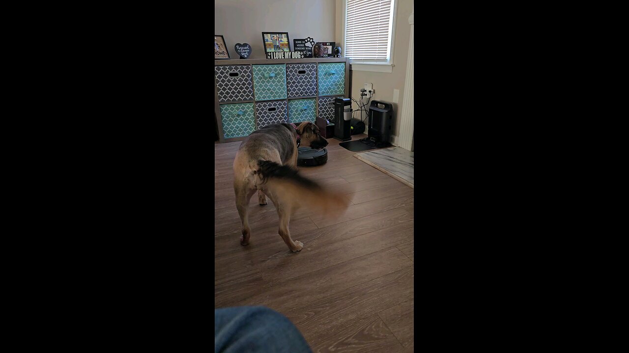 Quinn vs the vacuum