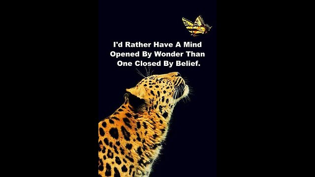 101 tragedy and hope