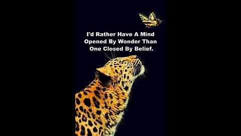 101 tragedy and hope