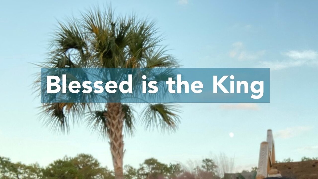 Blessed is the King! Luke 19: 36-40