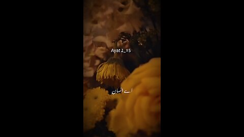 peaceful quran recitation