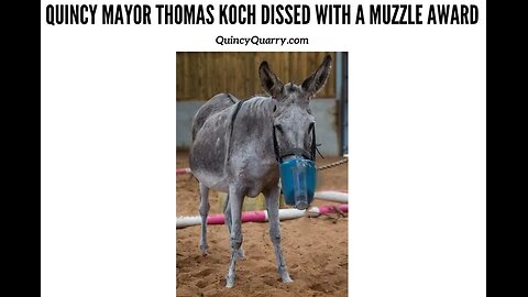 Mayor Thomas Koch Dissed With A Muzzle Award.