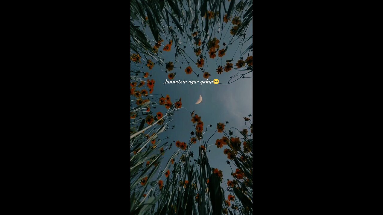 Jannatein agar yahin🥹🫶