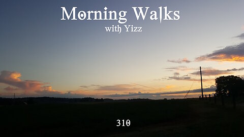 Morning Walks with Yizz 310