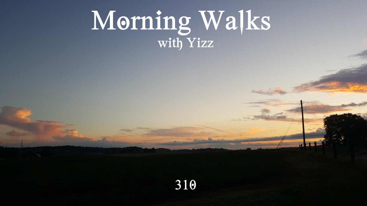 Morning Walks with Yizz 310