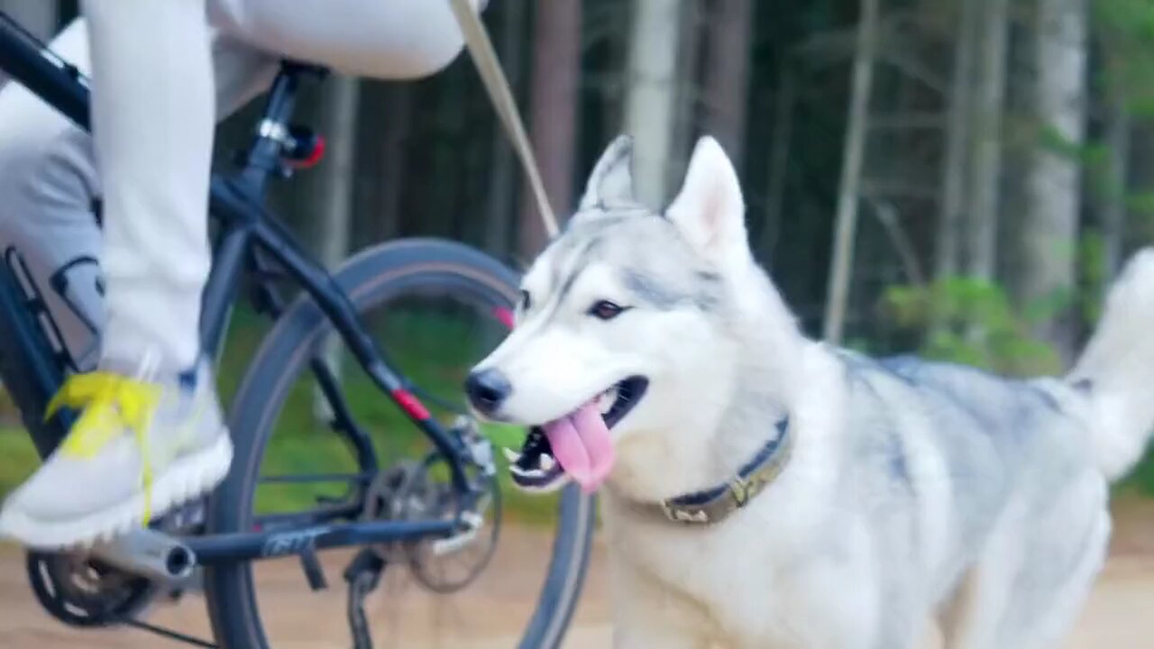 This Puppy’s Playtime Will Melt Your Heart!