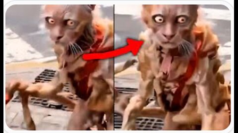 Totally UNNERVING Viral Videos That Disturbed Everyone Online - Classified Captures