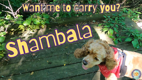 Shambala