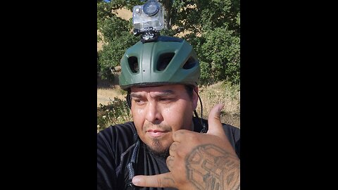 shoriantrax in the wild
