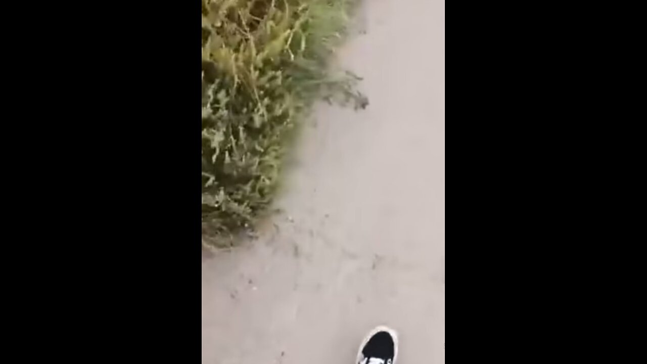 Codhead fisherman nonce caught in front of his mate - Robert Bielby