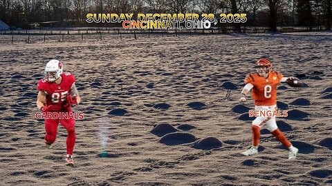 Arizona Cardinals @ Cincinnati Bengals, Week17, Diggin' Deeper Into the NFL