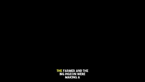 The farmer and the pigeon build a rocket and the pigeon goes to the moon 😭 #ai #pigeon #farmer