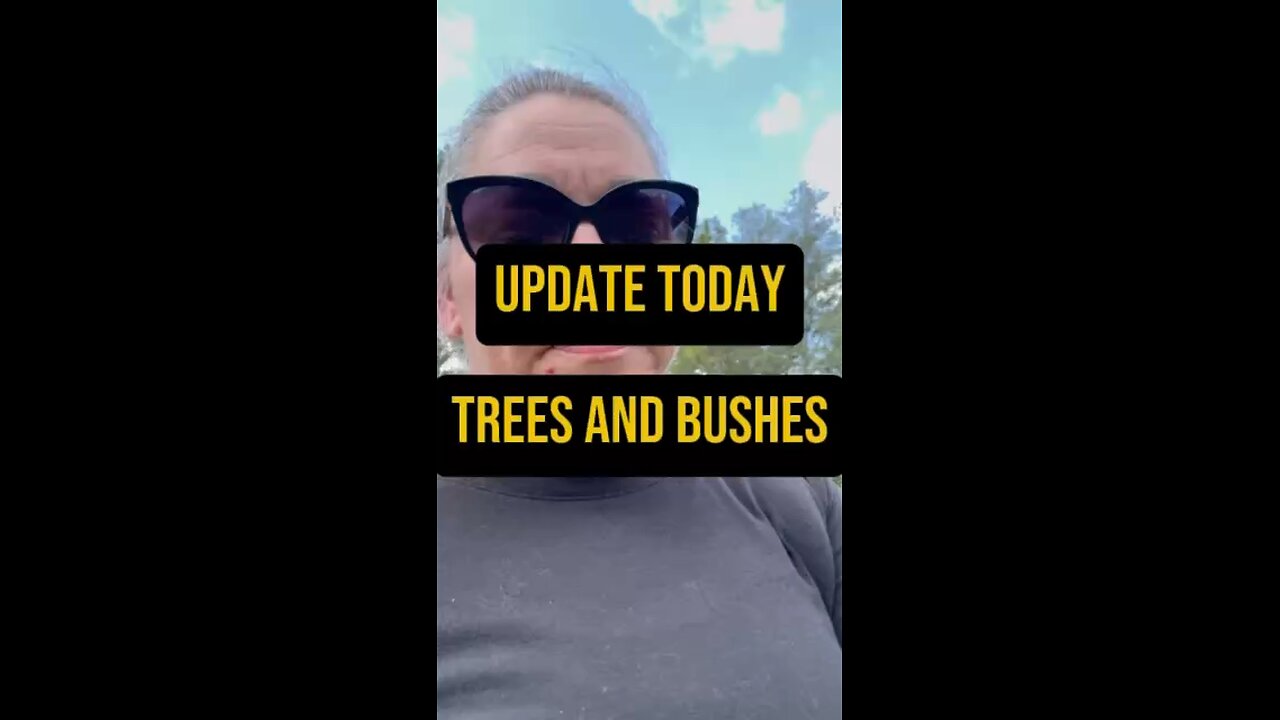 Trees & Bushes Updated