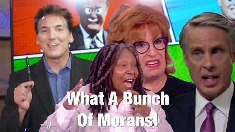 Don’t Be A Bunch Of Morans ABC – It’s Time To Remove The View