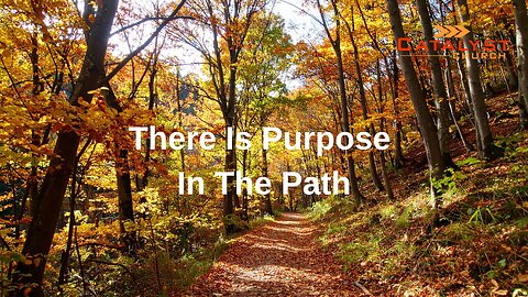 There Is Purpose In The Path
