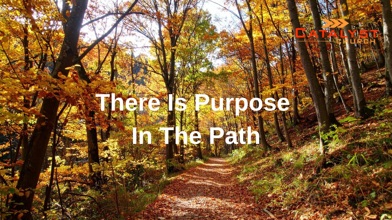 There Is Purpose In The Path