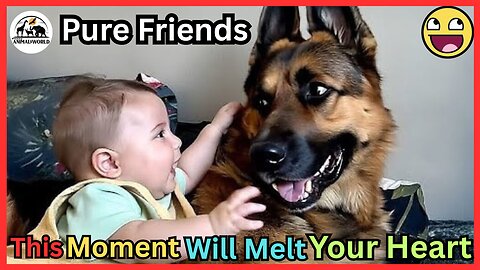 This Moment Will Melt Your Heart 💘 - 🐶Funniest Dogs & Sweetest Babies