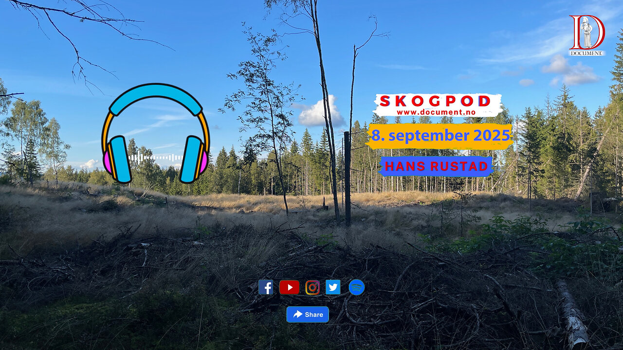 Skogpod 8. september 2025