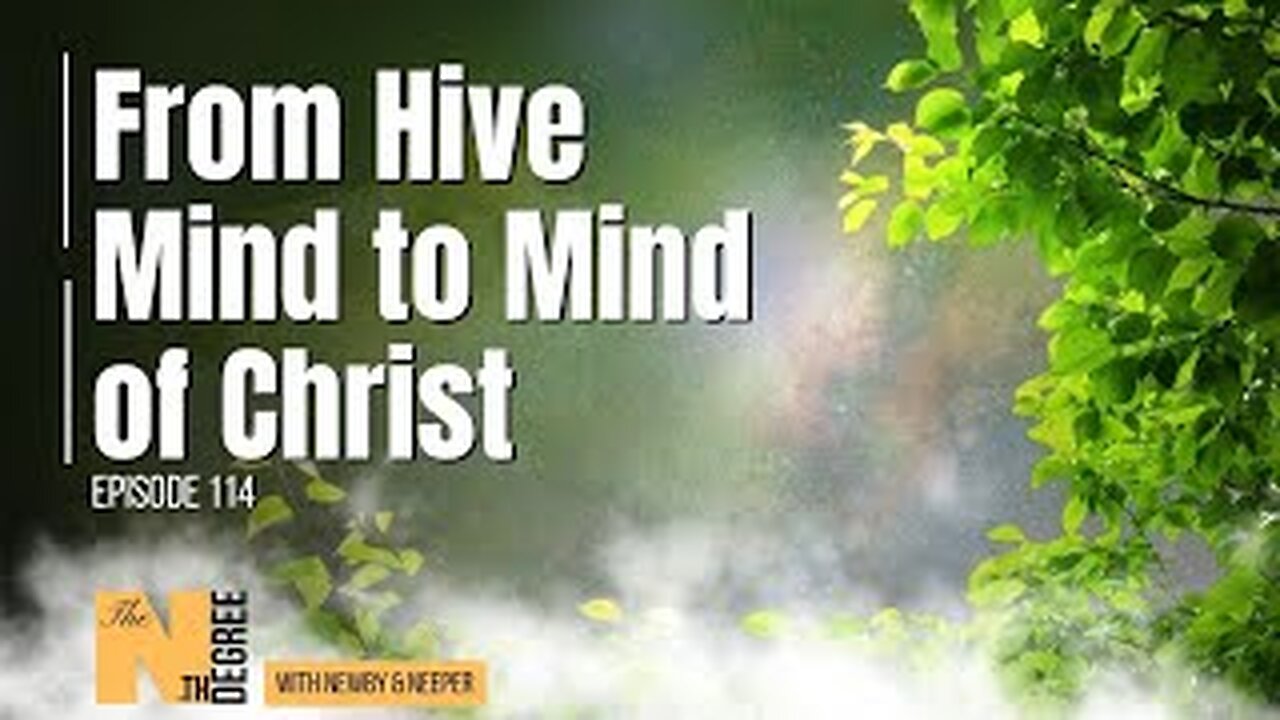 114: From Hive Mind to Mind of Christ - The Nth Degree