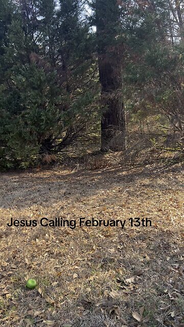 Jesus Calling February 13th!