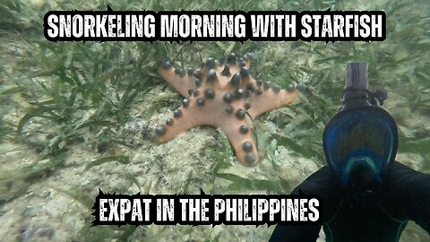 🌊 Snorkeling Morning | Expat in the Philippines 🇵🇭🐠