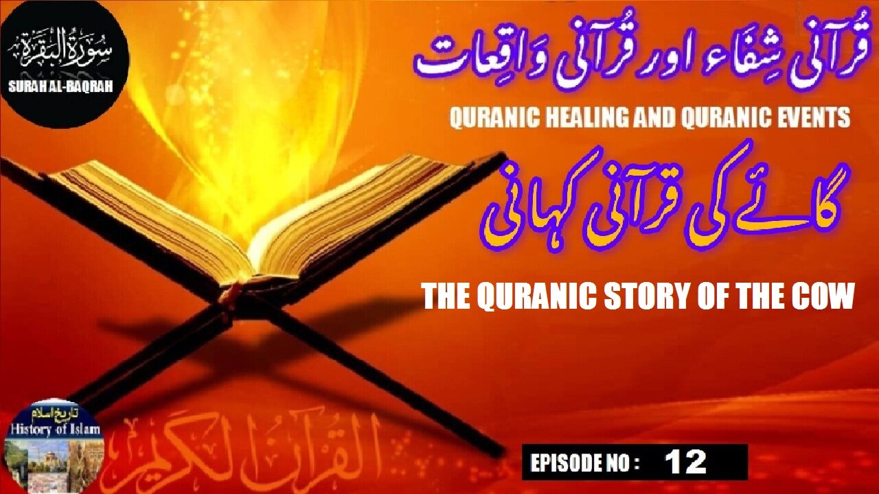 The Quranic story of the cow.गाय की कुरानिक कहानी. گائے کی قرآنی کہانی۔
