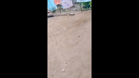 hdhjsjsns