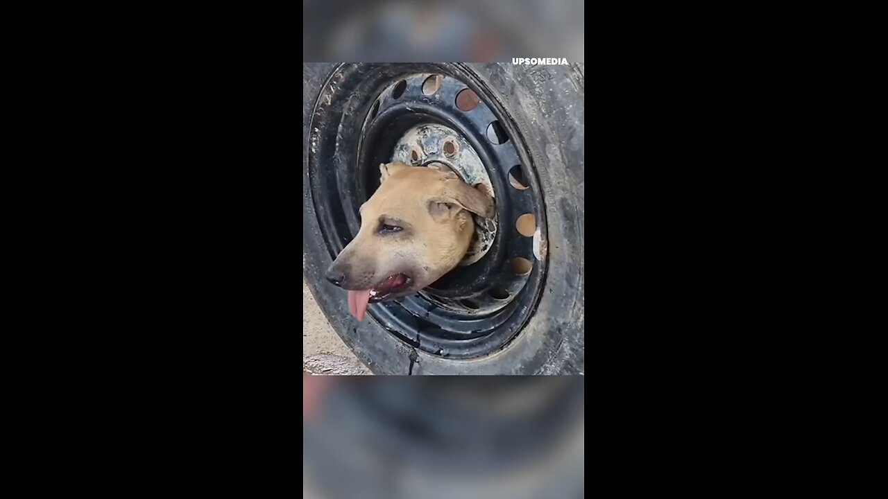 humanity still alive