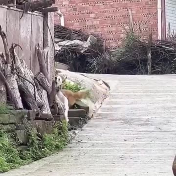 A true friend.. 😊