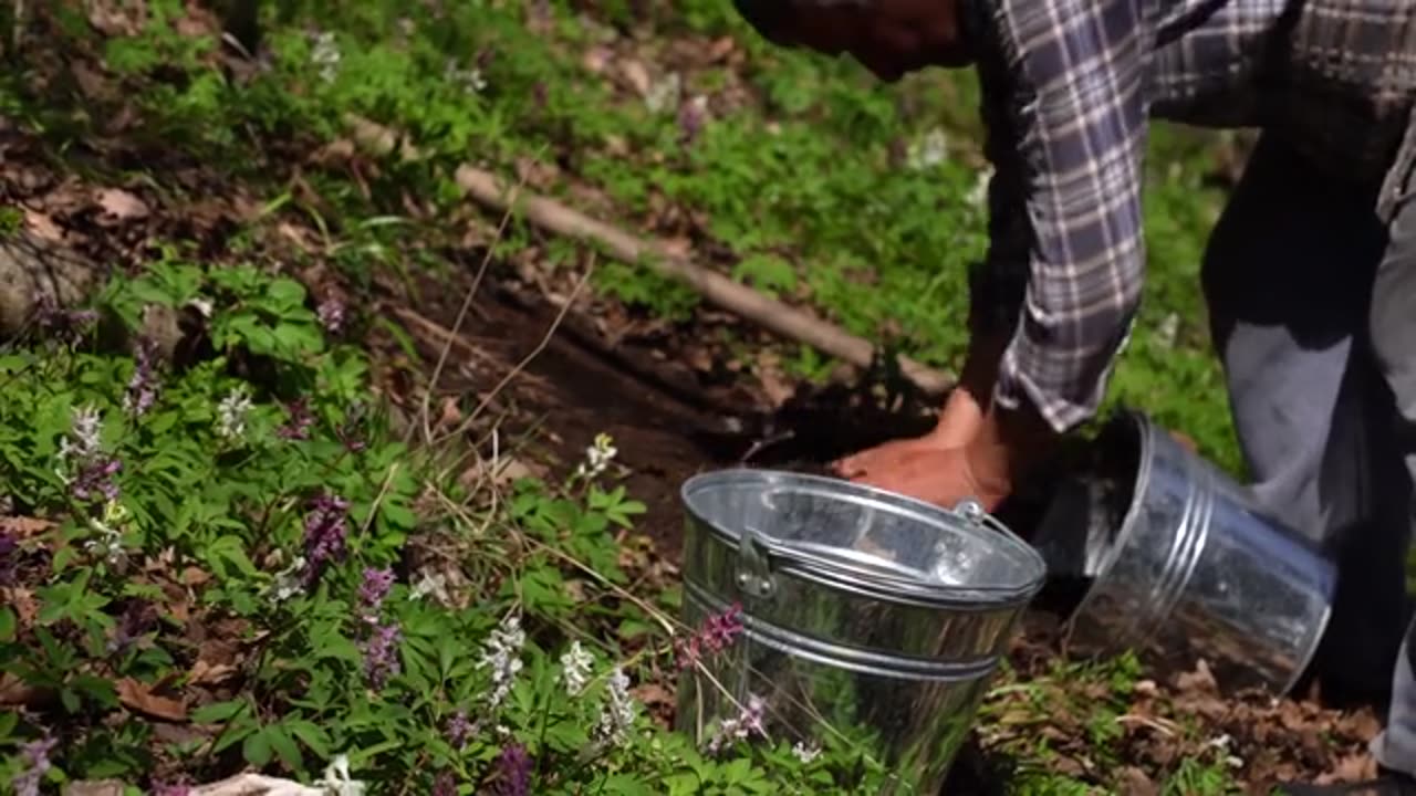 Cooking Spring Kutabs Spring Food from Nature_part7