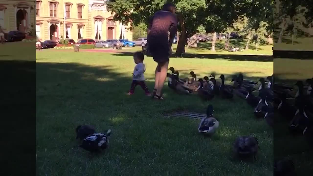 Baby funny video