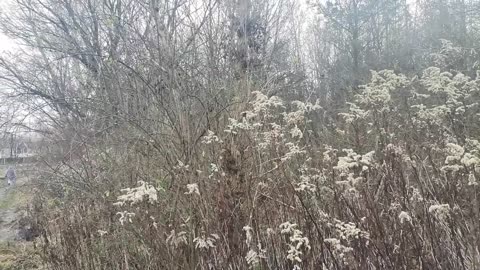 cieszę się TYM dniem ...