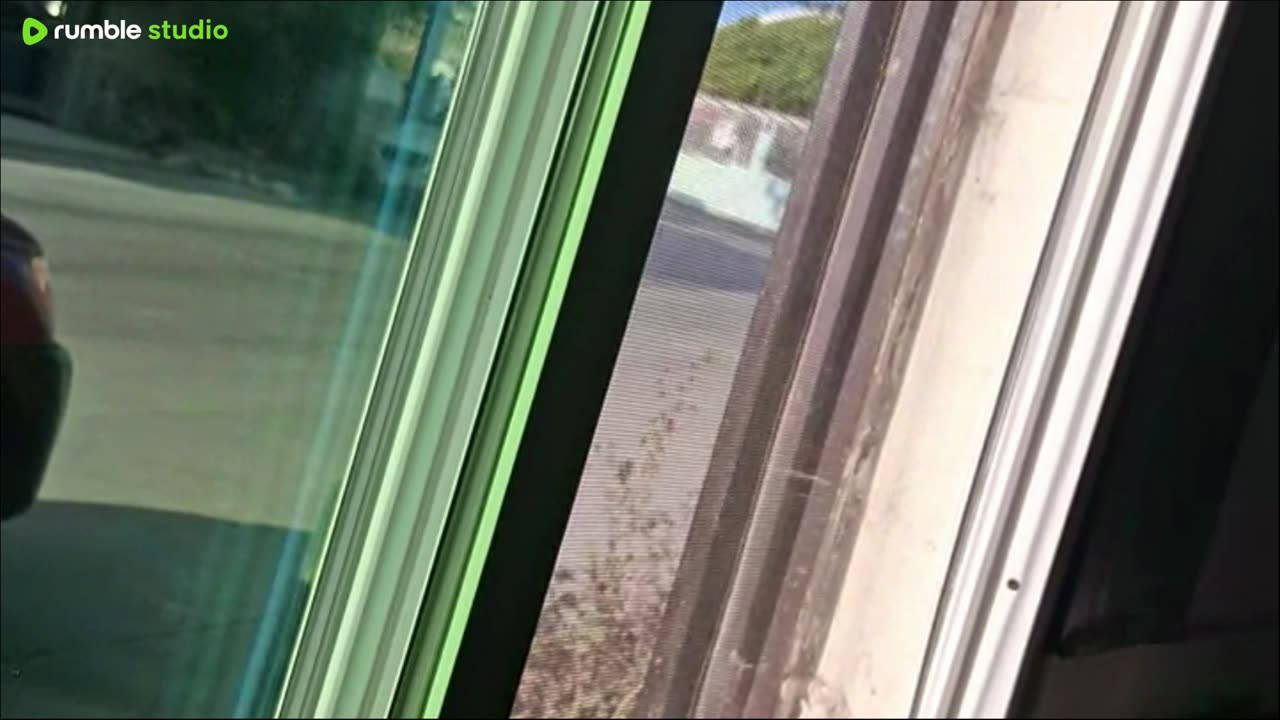 Trump interview in Mexico