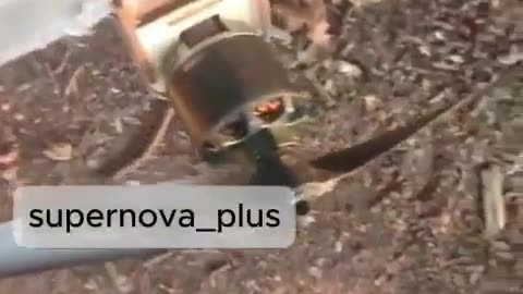 🐭🤣 Ukraine Russia War | 'Ukrainian Mice Sabotage Russian Drones' | RCF
