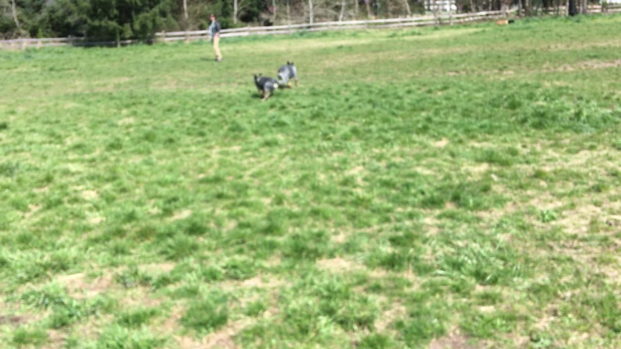 Monty hangout 32098423098420938423098