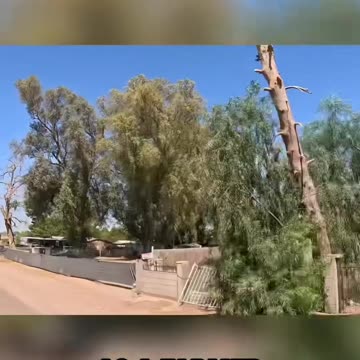 Illegal Aliens Contaminated Our Food Supply