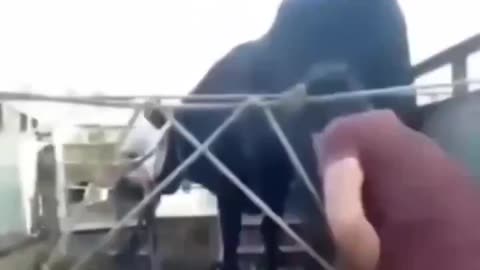 Ouch, Damn!