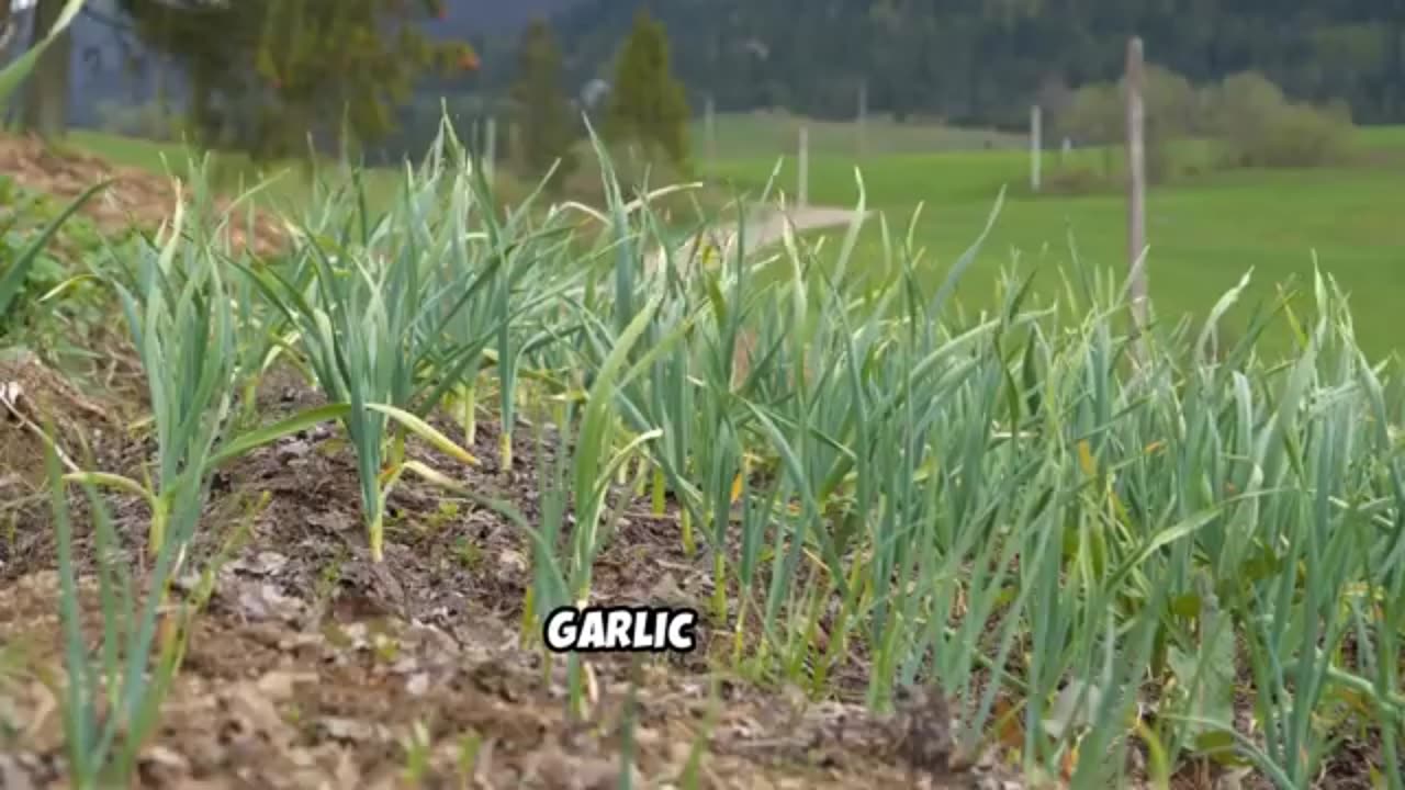 This One Valley Grows 25% of America’s Food And It