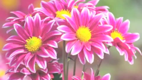 Mother's Day Guitar Composition by Noel Schwenk (promo sample)