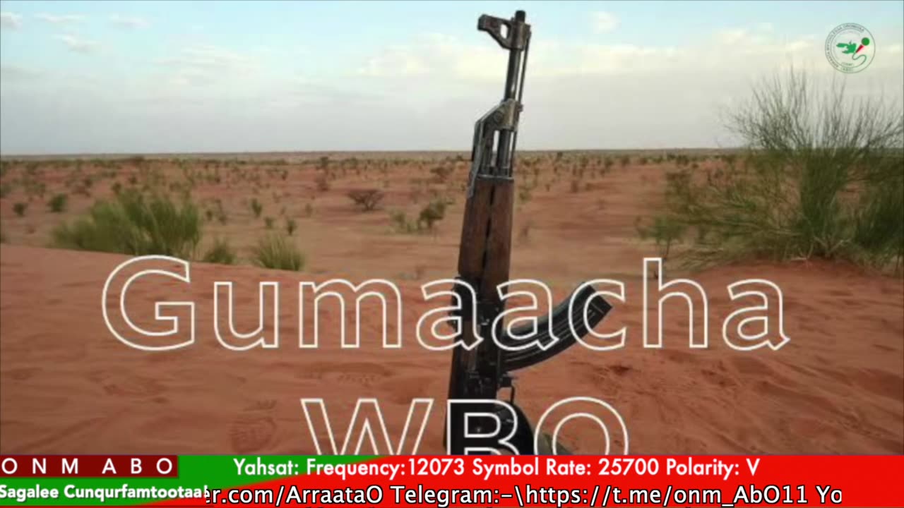 Gabaasa Gumaacha ONM-ABO Ebla 28-2025 itti dhiyaadhaa!