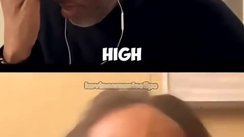 Tomorrow, and tomorrow, and tomorrow... then the cats