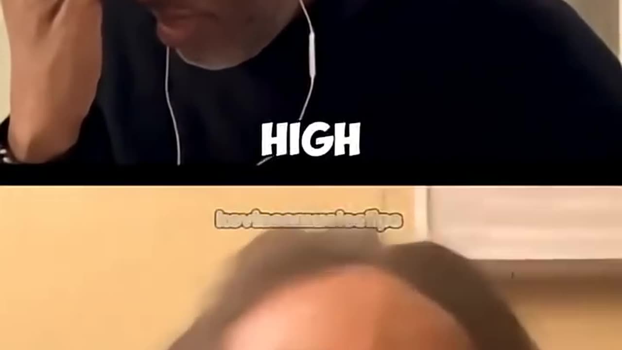 Tomorrow, and tomorrow, and tomorrow... then the cats