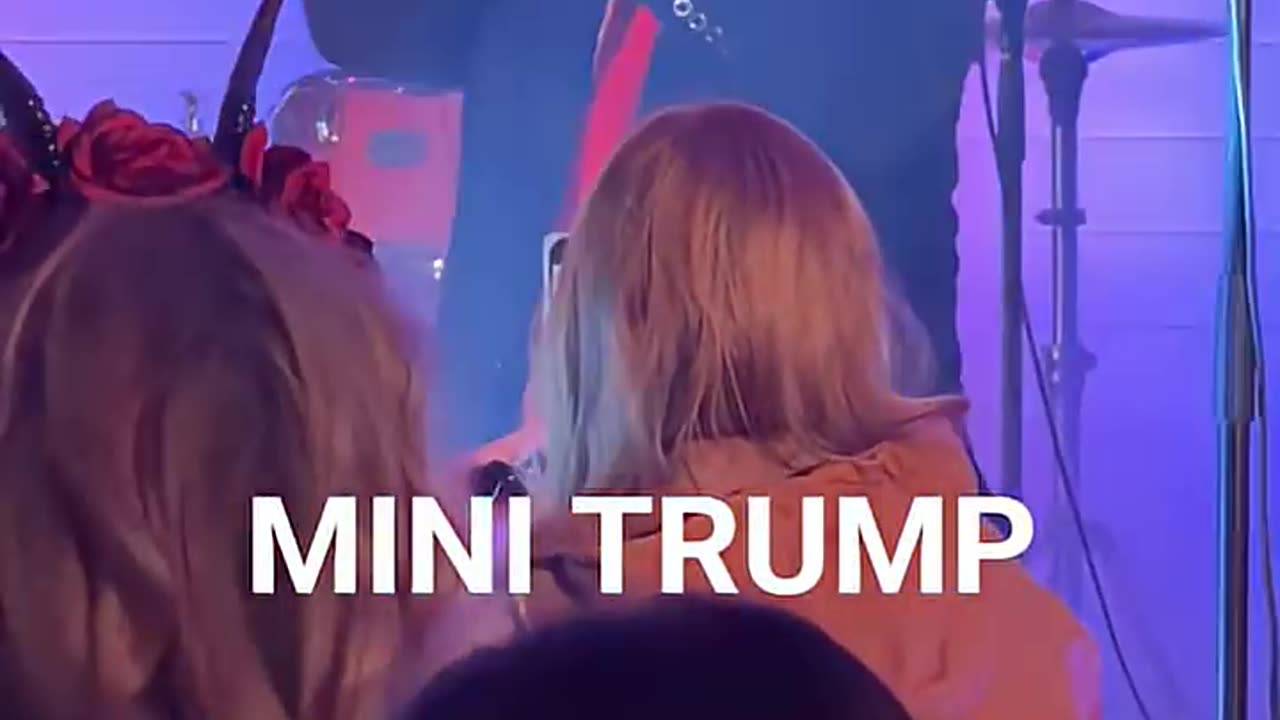 Mini Trump