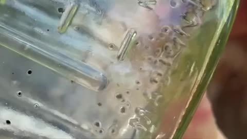 What Happens When You Drop This In Your Funky Bottle?