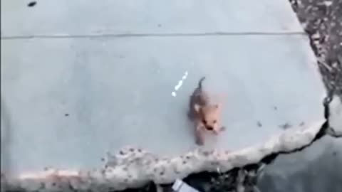 😂💪 You Won't Believe This Epic Fail! Overcoming Obstacles | FunFM