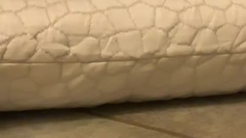 SUPA MODERN Cooling Pillows – Adjustable Gel Foam for All Sleepers ❄️🛏️💤