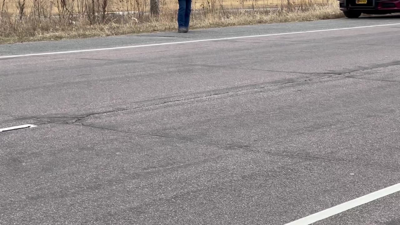Protesters on Highway 61, look at signs! - 3/29/25