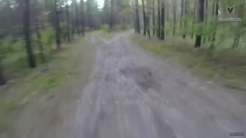 When Bears go on a Rampage