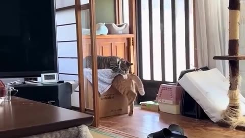🤣🏰 The Fort Comeback: Watch This Hilarious Struggle! | FunFM